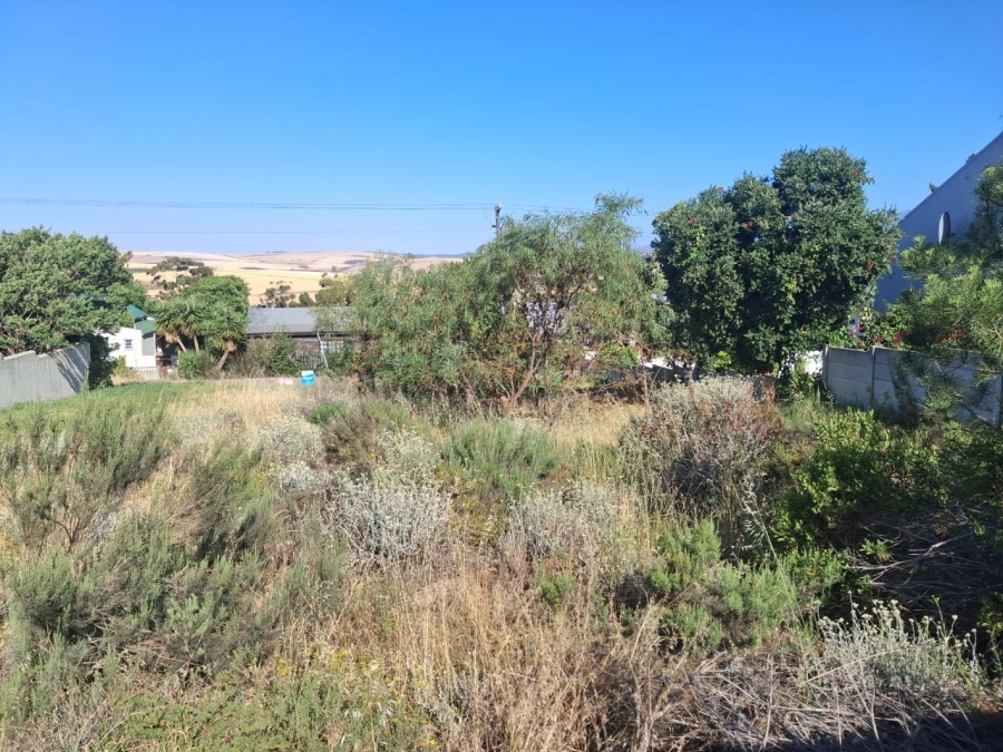 0 Bedroom Property for Sale in Bot River Avenues Western Cape